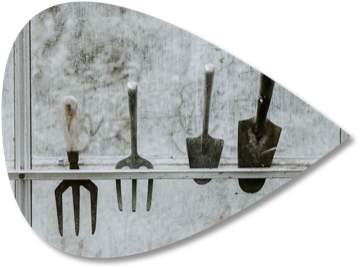 Garden tools hanging in a glasshouse